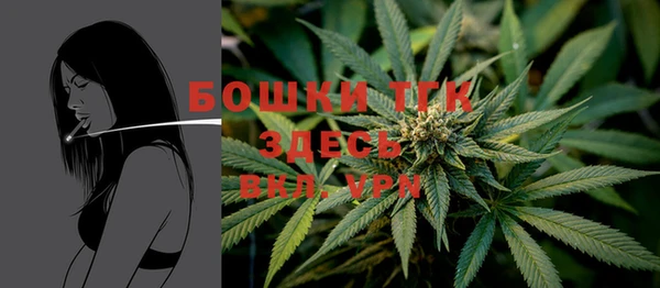 индика Арсеньев