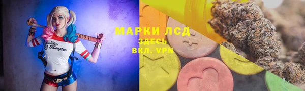 ГАЛЛЮЦИНОГЕННЫЕ ГРИБЫ Армянск