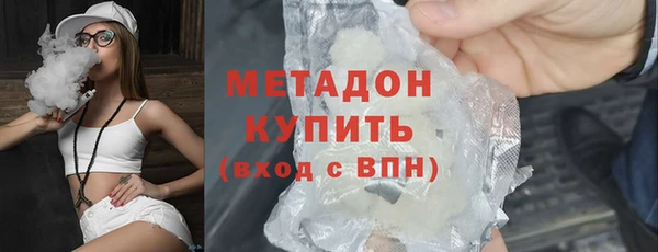 индика Арсеньев