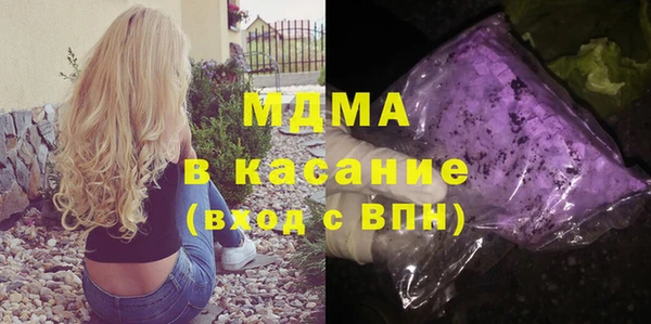 индика Арсеньев