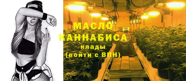 индика Арсеньев