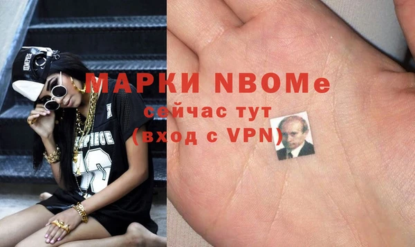 индика Арсеньев