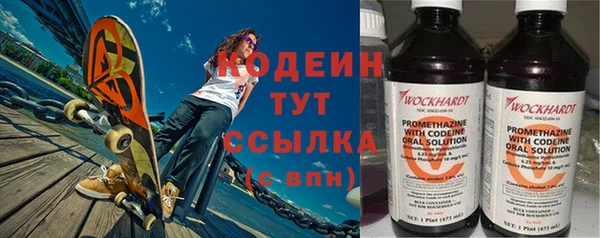 индика Арсеньев