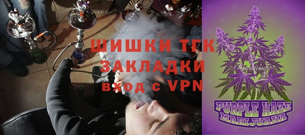 индика Арсеньев