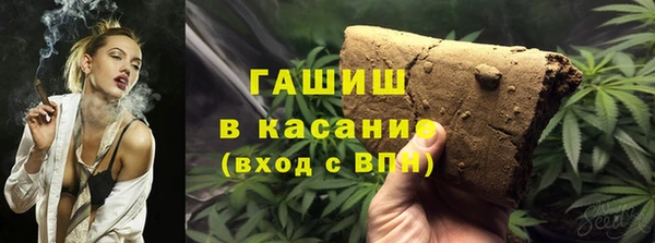 индика Арсеньев