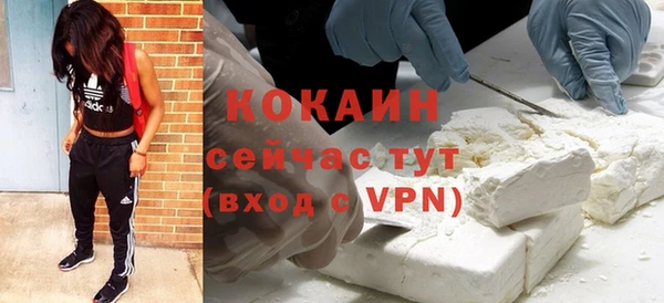 индика Арсеньев