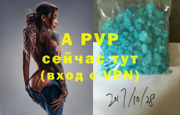 индика Арсеньев