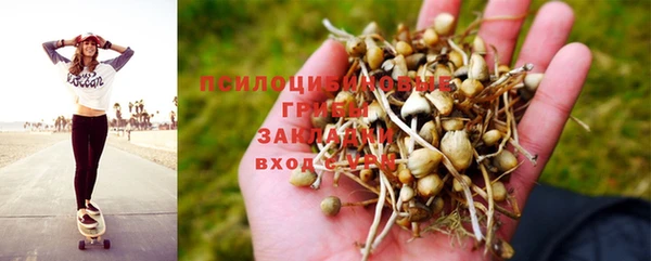 ГАЛЛЮЦИНОГЕННЫЕ ГРИБЫ Армянск